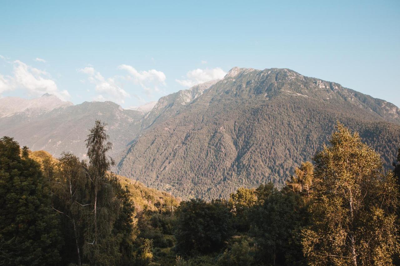 بيت شباب Casa Del Parco Adamello Cevo المظهر الخارجي الصورة